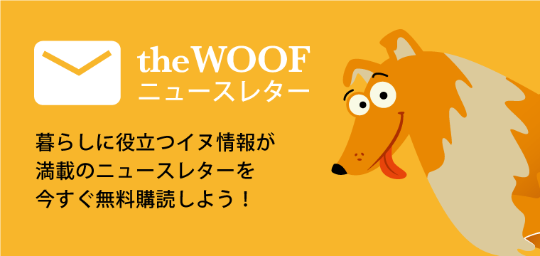 犬の逆くしゃみ症候群 原因は何 心配すべきはどんなとき The Woof イヌメディア