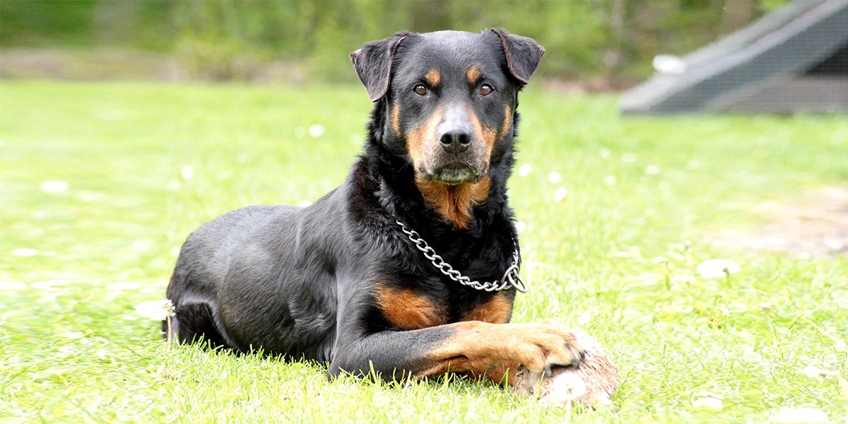 10. 軽い運動をしましょう