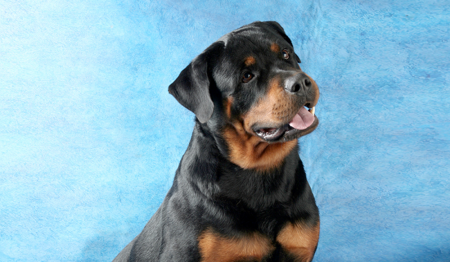 9. あなたの幸せな場所をイメージしてください