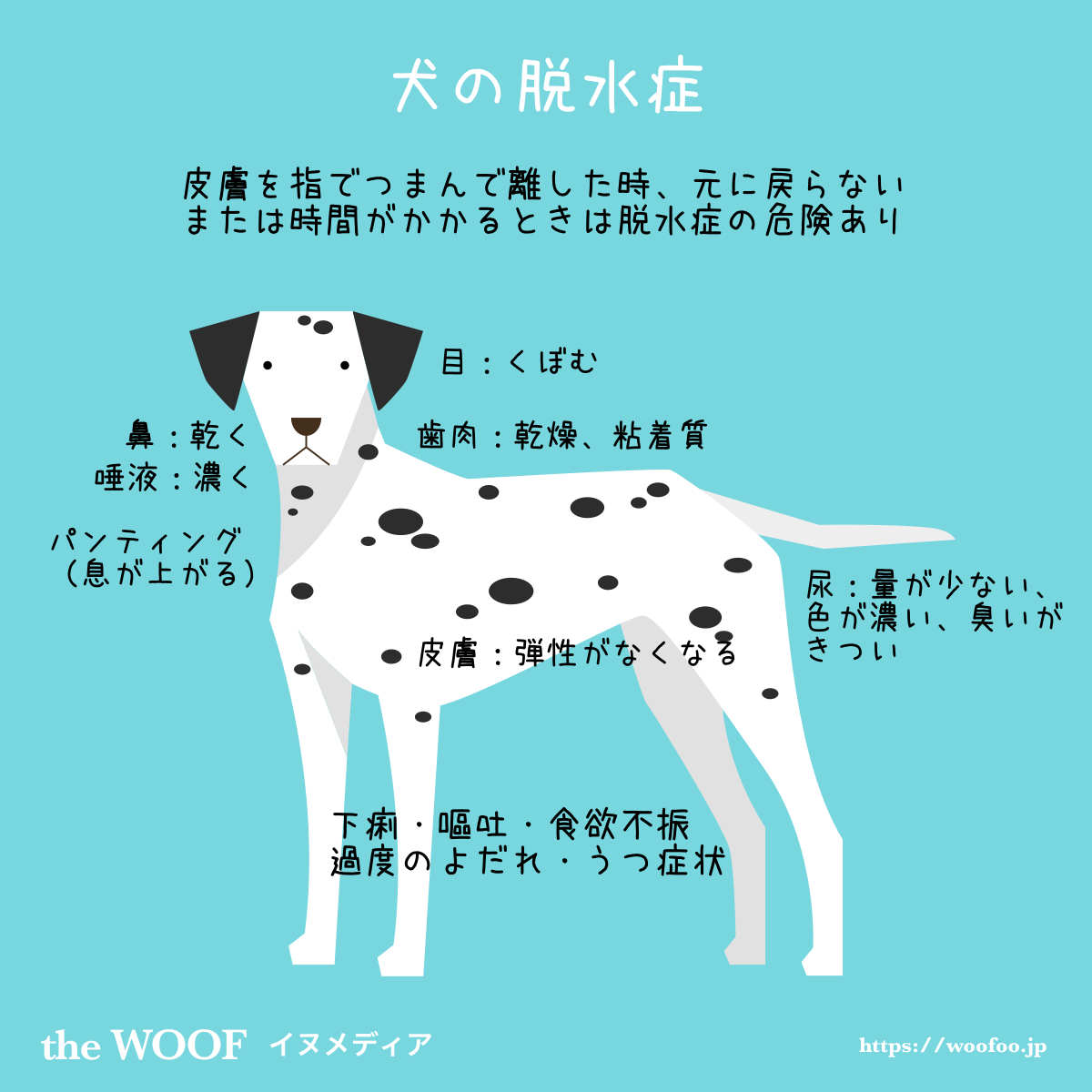 犬の脱水症 どこを見て判断し どう防ぐのか The Woof イヌメディア