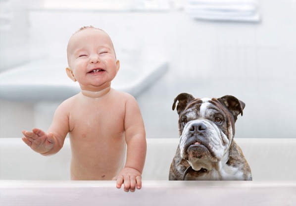 Dog and baby bath tab