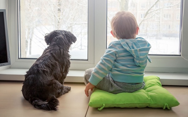 Dog and kid looking out